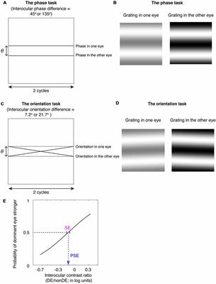 The Binocular Balance at High Spatial Frequencies as Revealed by the Binocular Orientation Combination Task